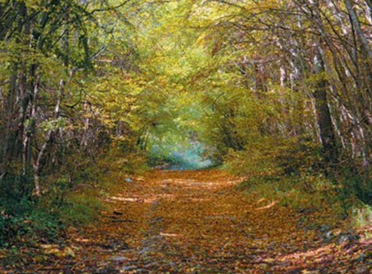 Kaiserwald Пула Екстериор снимка